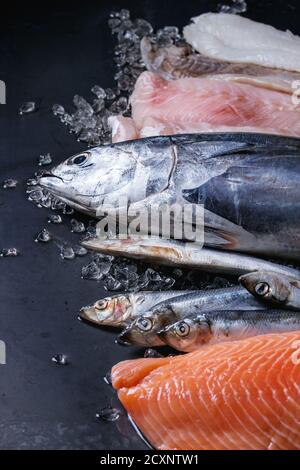 Variety of raw fresh fish. Whole tuna and herring, fillet of salmon, cod, red fish on crushed ice over dark wet metal background. Close up with space. Stock Photo