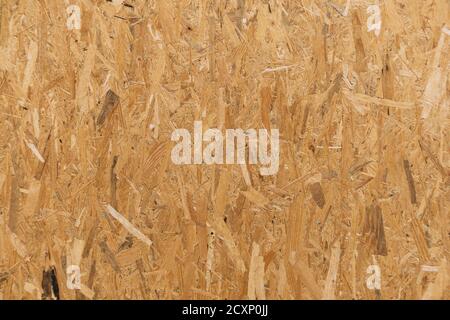Oriented strand board. A close-up of a board made of pressed sawdust. Stock Photo