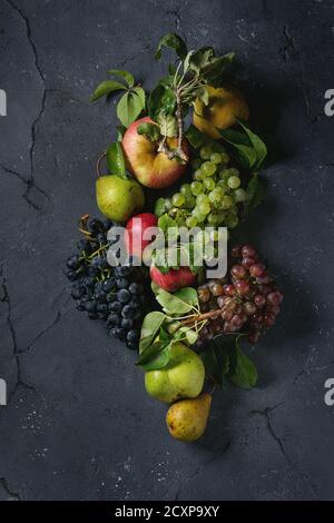 Variety of autumn fruits ripe organic apples, three kind of grapes, pears with leaves over dark texture background. Top view with space Stock Photo
