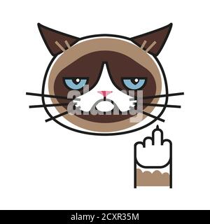 Grumpy cat making gesture with middle finger Stock Vector