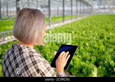 Young Woman Using or Playing Tablet in Greenhouse Stock Photo