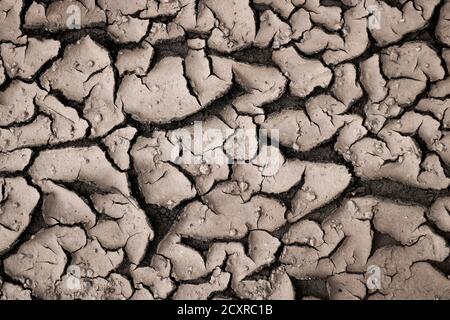 Dried slush. Texture cracked dirt. Selective focus. Macro. Stock Photo
