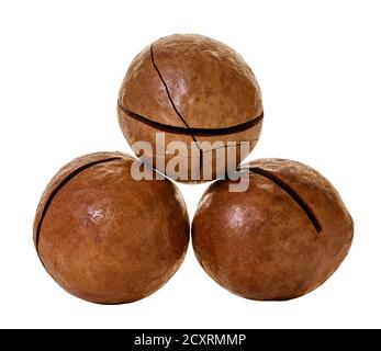 macadam nuts with clipping path on a white isolated background Stock Photo