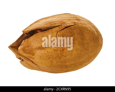 pecan with clipping path on a white isolated background Stock Photo