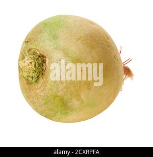 fresh radish vegetable with clipping path on a white isolated background Stock Photo