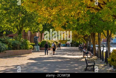 BRISTOL CITY ENGLAND TREE LINED WALK  IN LATE SUMMER ALONG HOTWELLS DOCKS CITY CENTRE Stock Photo