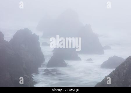 The Pacific Ocean crashes against sea stacks along the foggy seashore of Northern California. This rugged area, north of San Francisco, is beautiful. Stock Photo