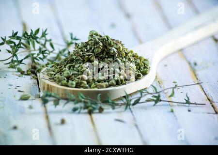 fresh Thyme and pile of dried thyme in wooden spoon on rustic background. Stock Photo