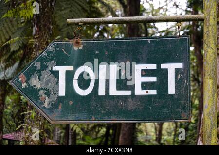 Sign toilet, stair and exit direction, blue text and red arrow on white background sign. It show for information transpot interior building for emerge Stock Photo