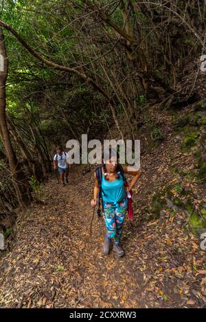 Shot of tourists walking in Los Tinos Natural Park, Canary Islands, Spain Stock Photo