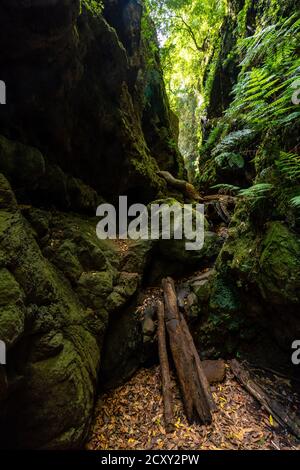 Shot of canyon in Los Tinos Natural Park, Canary Islands, Spain Stock Photo