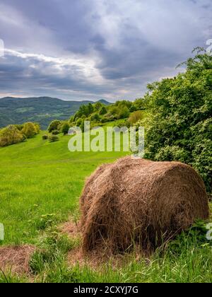 Mountainous landscape with meadows, forests and round bale of straw in the foreground Stock Photo