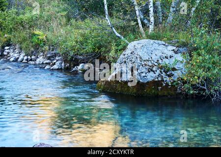 stream pool on a small mountain river with a beautiful rock with birches on the bank Stock Photo