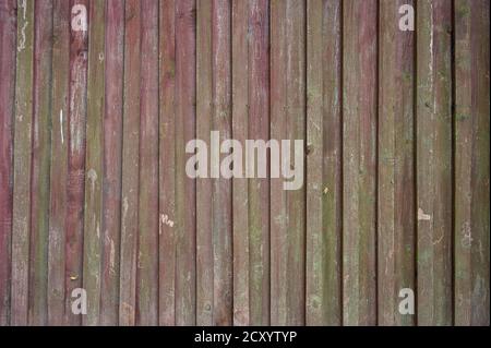 Background from a wooden fence made of purple green beam, copy space Stock Photo
