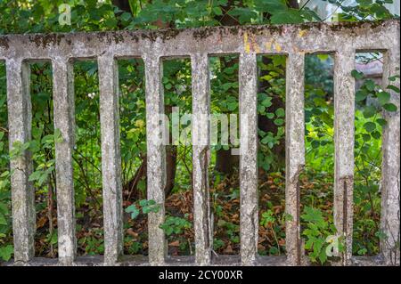 Old lattice concrete broken fence close up, in the background green leaves of trees, horizontal orientation Stock Photo