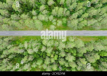Empty straight road through the forest top down aerial view Stock Photo