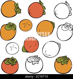 Vector set of different persimmons isolated. Ripe and silhouettes persimmons. Concept for fruit store. Stock Vector