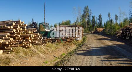 John Deere 1510e Forwarder at logging site , Finland Stock Photo