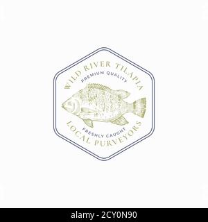 Fish Vintage Frame Badge or Logo Template. Hand Drawn Wild Tilapia Sketch Emblem with Retro Typography. Stock Vector