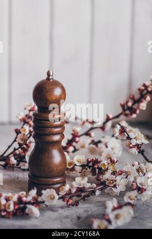 Pepper or coffee vintage wooden grinder on light background with apricot blossom branch. Stock Photo