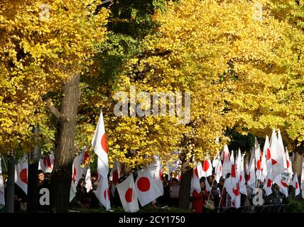 Protesters of the nationalist movement 'Ganbare Nippon' holding Japanese national flags are seen under ginkgo trees in autumn, near the parliament in Tokyo December 1, 2010. Over one thousand people marched on Wednesday demanding to call on Kan's resignation citing failures in his recent foreign policies what they saw as his slow response to the North Korean missile shelling on the South Korean island of Yeonpyeong and the muddle over the diplomatic spat with China over the disputed islands in the East China Sea. Support for Japan's government has dropped to 27 percent, the lowest since Kan to