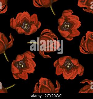 Seamless pattern with hand drawn colored tulip Stock Vector