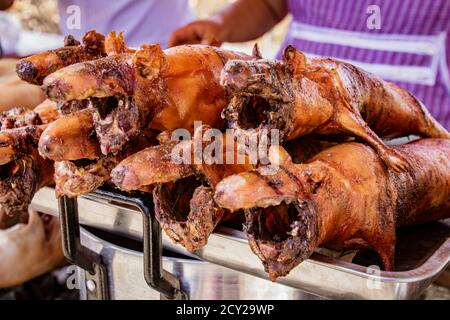 Cuy guinea pig roasted and ready to eat as a delicacy in Ecuador Stock Photo