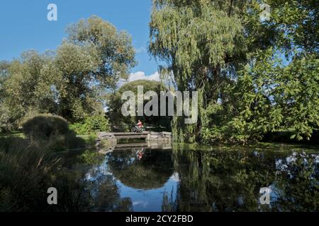 Bridge over a pond on Rideau Canal side arm, with cyclist going over. Large willow reflecting on side Stock Photo