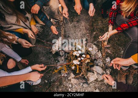 Faceless group of friends fry marshmallows over a campfire in the woods. Top view. Stock Photo