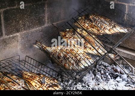 Dorado fish in the process of grilling, BBQ, in the oven, on a fire on the outdoors Stock Photo