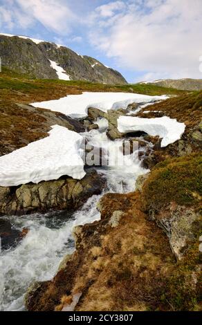 Fast-flowing mountain stream and snow on a Norwegian highland during the summer Stock Photo