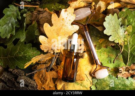 Autumn Beauty product creative composition. Beautiful autumn leaves and Rose quartz facial Jade roller with serum. Massaging tool for beautuful face and body. Flat lay, top view, copy space. Stock Photo