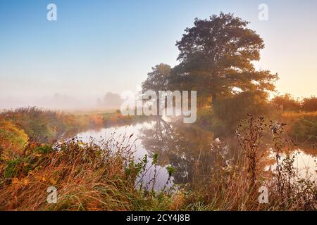 Autumn sunrise rural landscape. Fog on river. October fall calm morning misty scene. Alder, willow trees on riverbank, Belarus Stock Photo