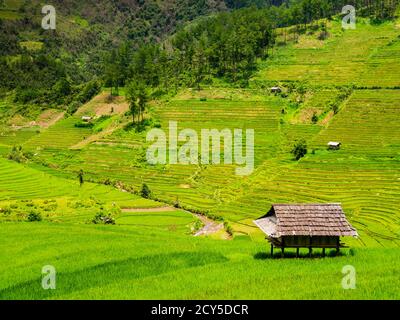 Stunning country landscape with typical farm hut surrounded by terraced rice fields, Mu Cang Chai, Northern Vietnam Stock Photo