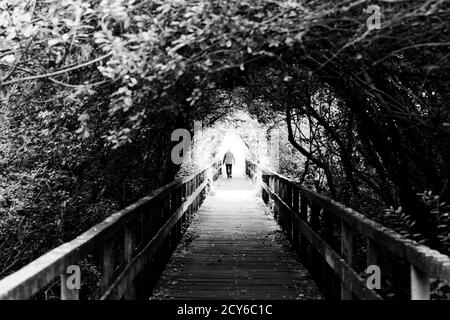 Bridge and Tunnel style,Steinhuder Meer,Low Saxony,Germany Stock Photo