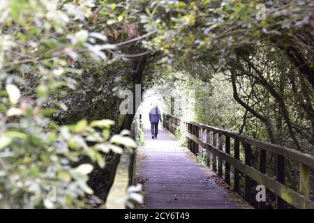 Bridge and Tunnel style,Steinhuder Meer,Low Saxony,Germany Stock Photo