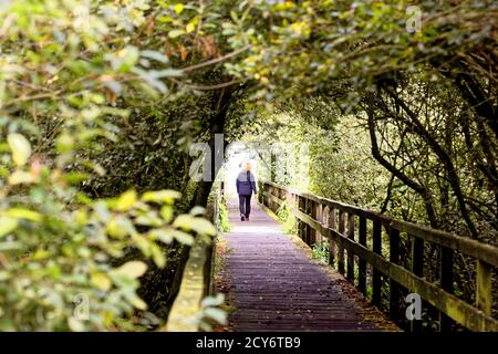 Bridge and Tunnel style,Steinhuder Meer,Low Saxony,Germany Stock Photo