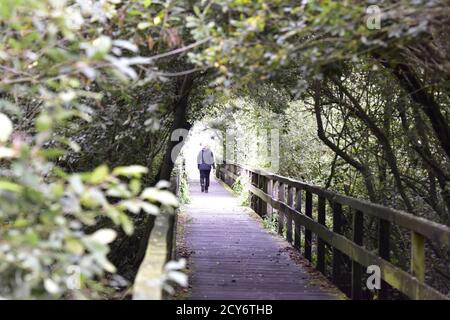 Bridge and Tunnel style,Steinhuder Meer,Low Saxony,Germany Stock Photo