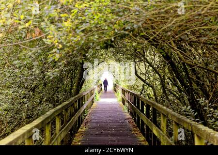 Bridge and Tunnel style,Steinhuder Meer,Low Saxony,Germany Stock Photo