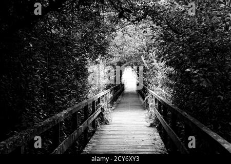 Bridge and Tunnel style,Steinhuder Meer,Low Saxony,Germany Stock Photo