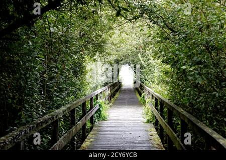 Bridge and Tunnel style,Steinhuder Meer,Low Saxony,Germany Stock Photo