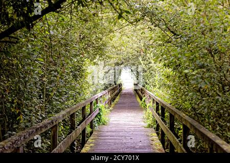 Bridge and Tunnel style,Steinhuder Meer,Low Saxony,Germany Stock Photo