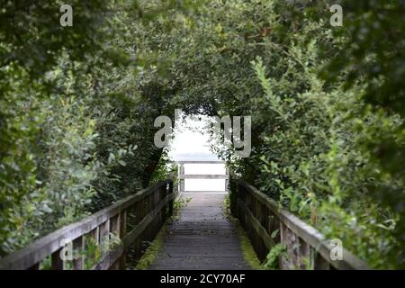 Bridge and Tunnel style,Steinhuder Meer,Low Saxony,Germany Stock Photo