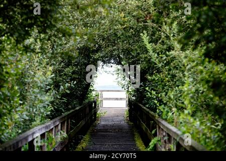 Bridge and Tunnel style,Steinhuder Meer,Low Saxony,Germany Stock Photo