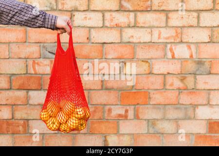 Fresh ripe organic green apples in shopping mesh bag in male hands for food or apple juice. Brick background with copy space. Zero waste, plastic free Stock Photo