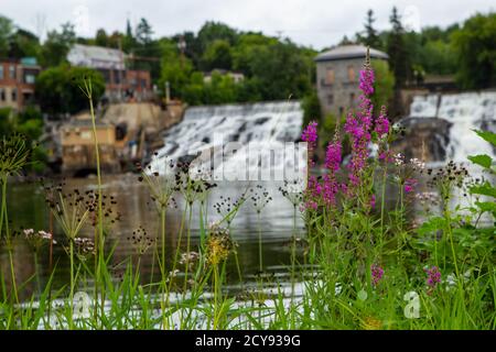 Woodland epiary with the Vergennes Falls in the background on a blurred background Stock Photo