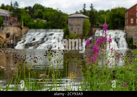 Woodland epiary with the Vergennes Falls in the background on a blurred background Stock Photo