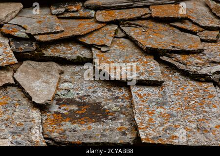 Background pattern from slate tiles with red mold Stock Photo