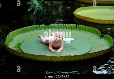 Seven And A Half Month Old Tanisha Overbeeke Smiles While Resting On Top Of A Leaf Seven And A Half Month Old Tanisha Overbeeke Smiles While Resting On Top Of A Leaf