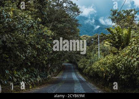 Cobblestone road amid high altitude trees and mountains in the Amazon rainforest, Ecuador Stock Photo